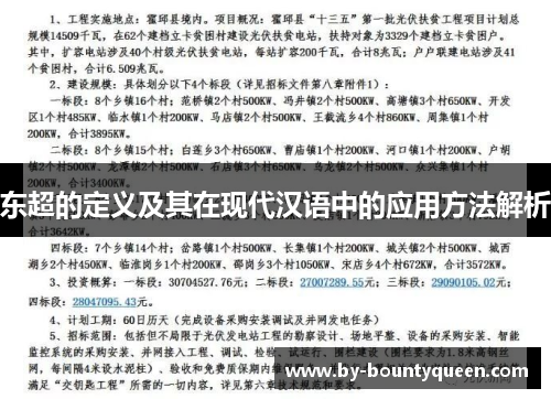 东超的定义及其在现代汉语中的应用方法解析