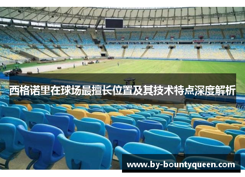 西格诺里在球场最擅长位置及其技术特点深度解析