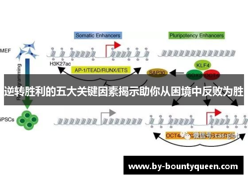 逆转胜利的五大关键因素揭示助你从困境中反败为胜