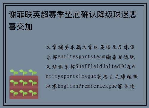 谢菲联英超赛季垫底确认降级球迷悲喜交加